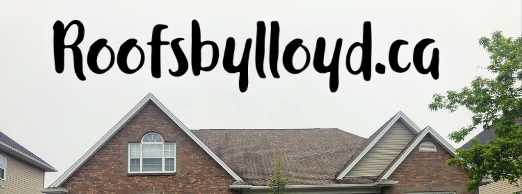 TEPhrln8ly6HdfPYqh